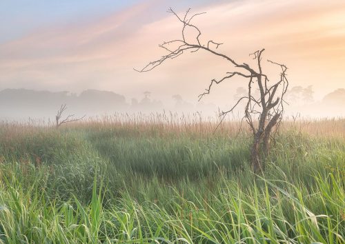 Dawn Over the Marsh by Gill Moon