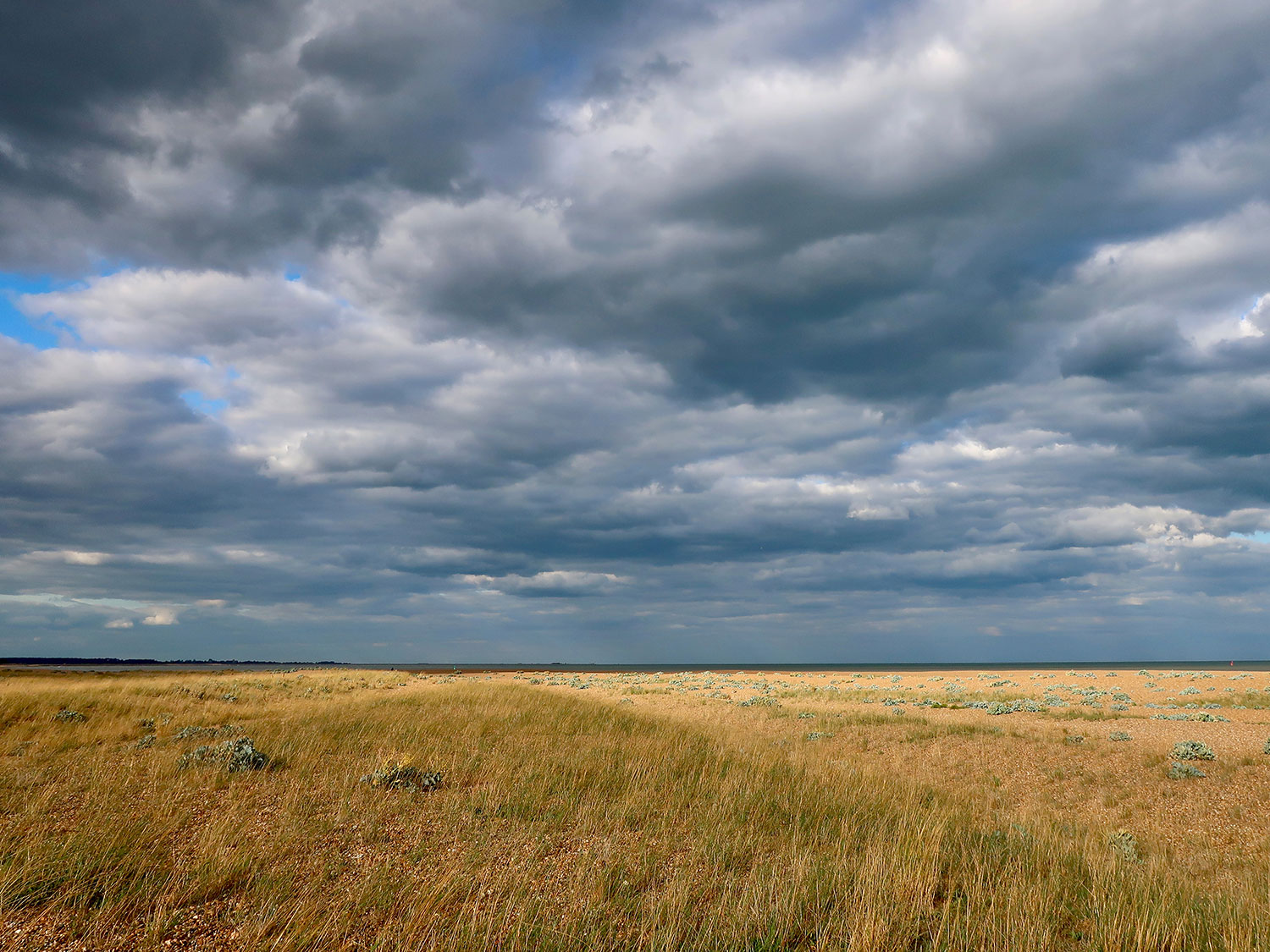 Shingle Street by Angela Chalmers - Gill Moon Photography