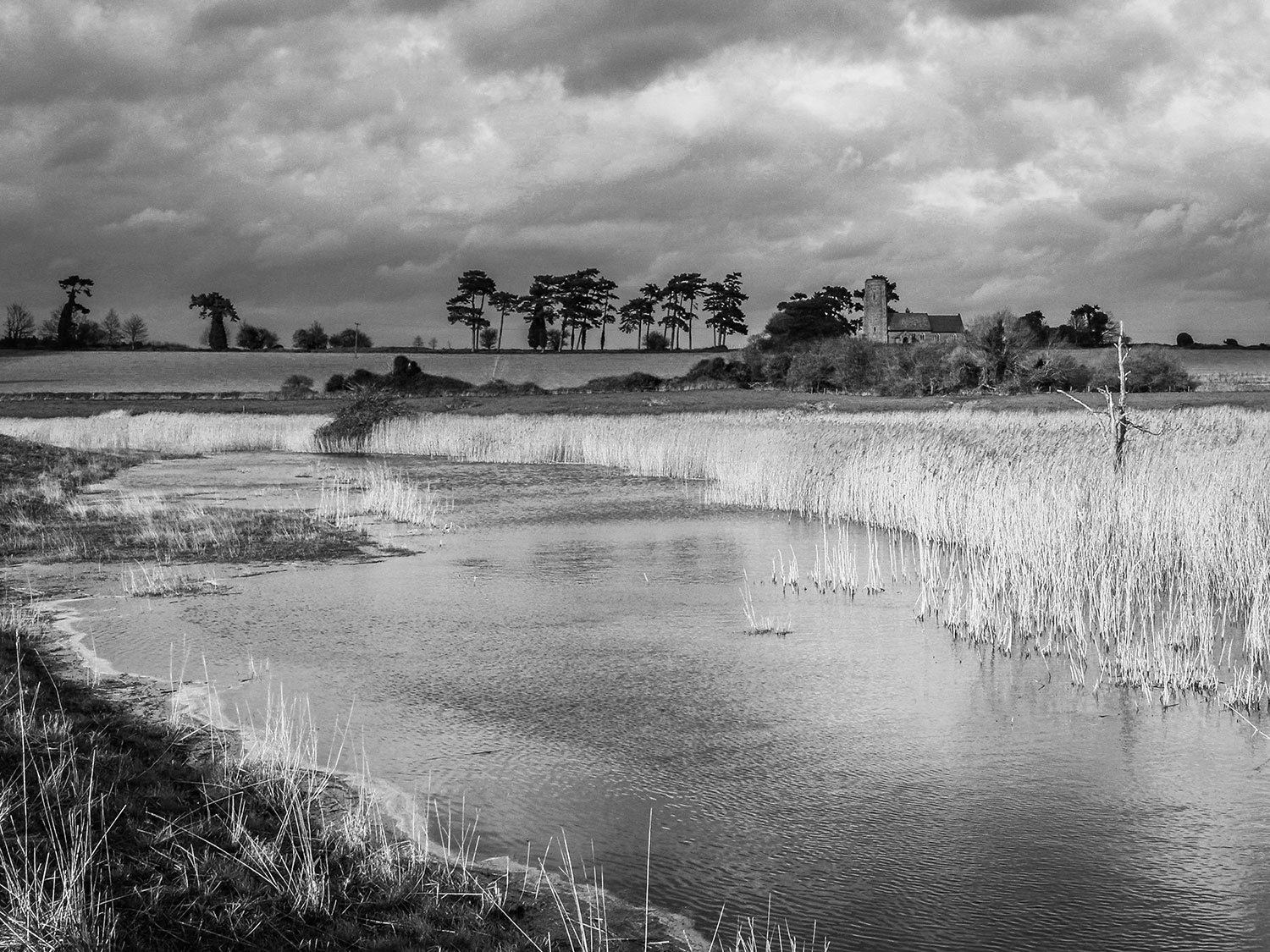 Ramsholt By Hillas Smith - Gill Moon Photography