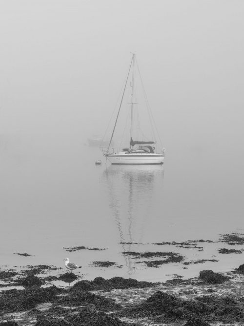 Misty Moorings by Richard Tricker