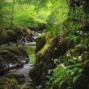 Exmoor spring, limited edition print by Gill Moon